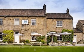 The Blue Lion